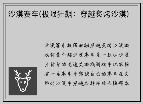 沙漠赛车(极限狂飙：穿越炙烤沙漠)